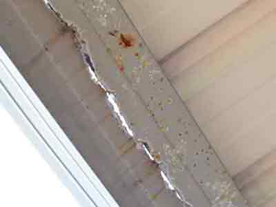 gutter repair