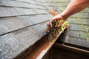 Clean-Gutters