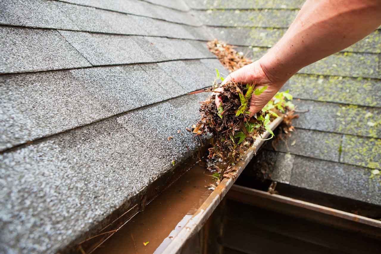 Read more about the article GutterShutter™ VS. Gutter Cleaning