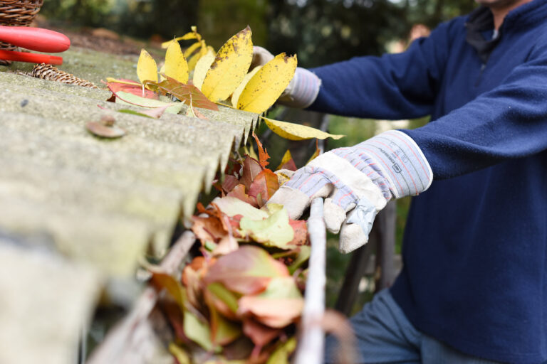 Burlington gutter cleaning company