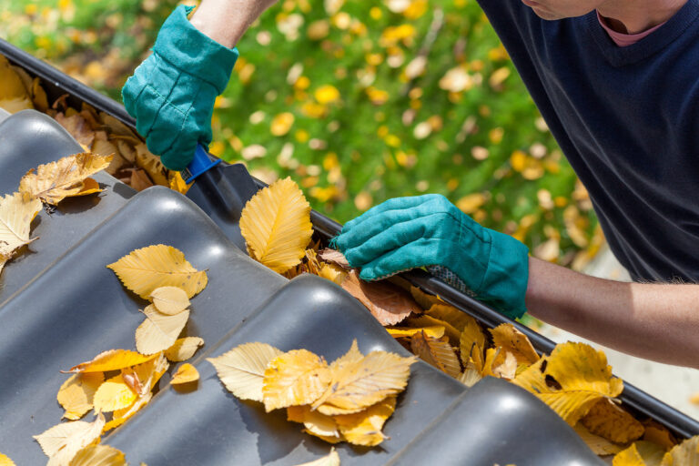 Burlington rain gutter cleaning near me