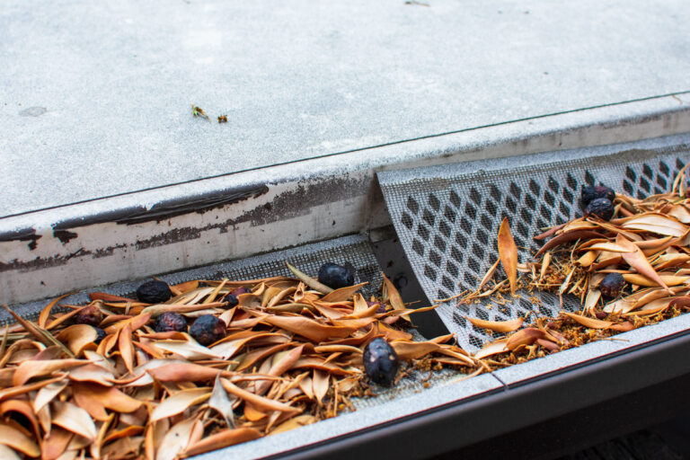 gutter guards and leaf guards Burlington NC